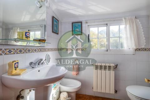 Venta - Begonte - Ref: C4