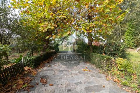 Venta - Begonte - Ref: C4