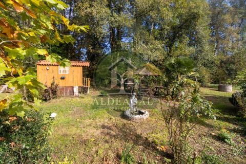 Venta - Begonte - Ref: C4