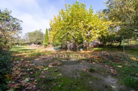 Venta - Begonte - Ref: C4