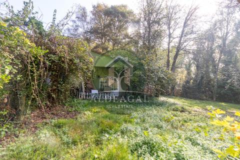 Venta - Begonte - Ref: C4