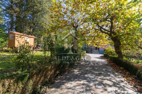 Venta - Begonte - Ref: C4