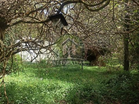 Espectacular Finca a un minuto de la A6, y cinco de Lugo capital